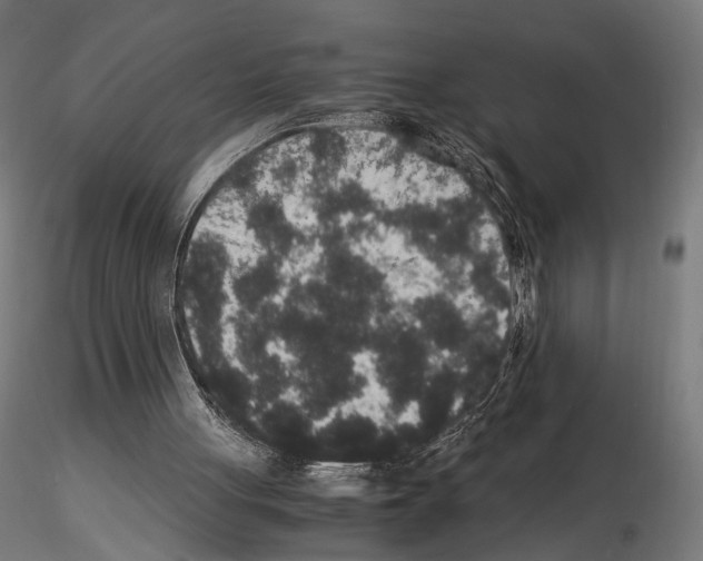 X0000115120051200912081354