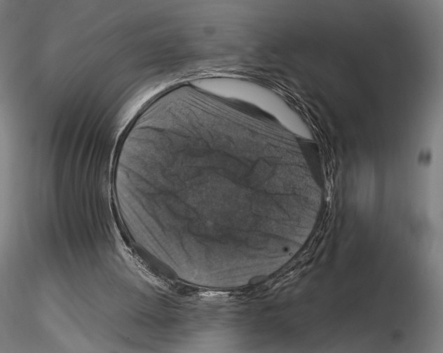 X0000115120052200912081354