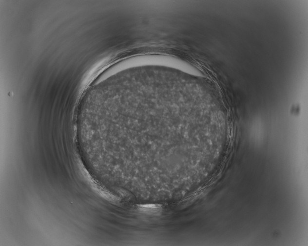 X0000115120053200912081354