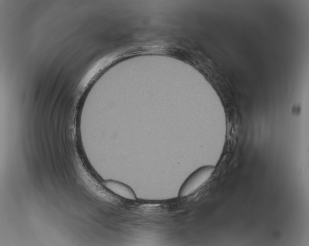 X0000115120054200912081354