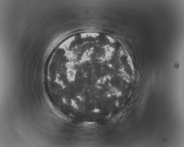 X0000115120055200912081354