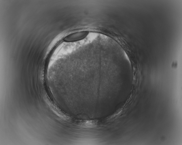 X0000115120056200912081354