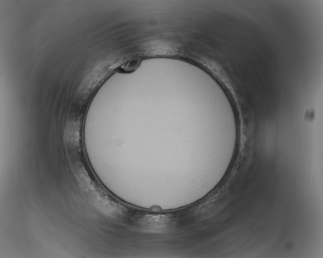 X0000115120057200912081354