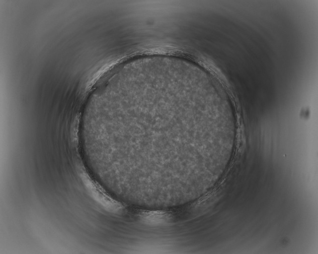 X0000115120058200912081354