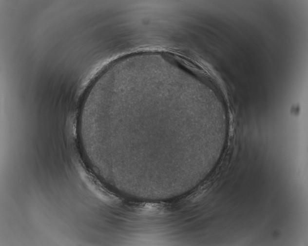 X0000115120060200912081354