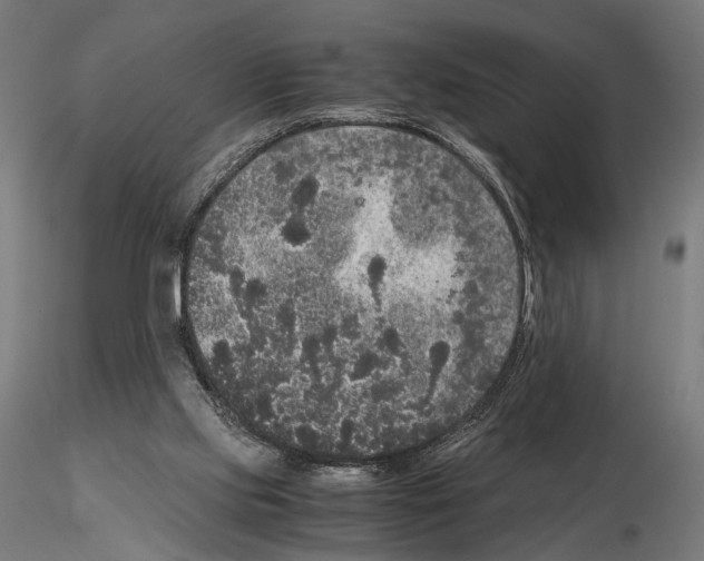 X0000115120061200912081354