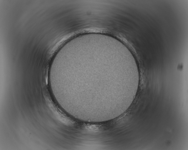 X0000115120062200912081354