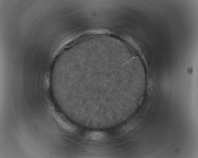 X0000115120063200912081354