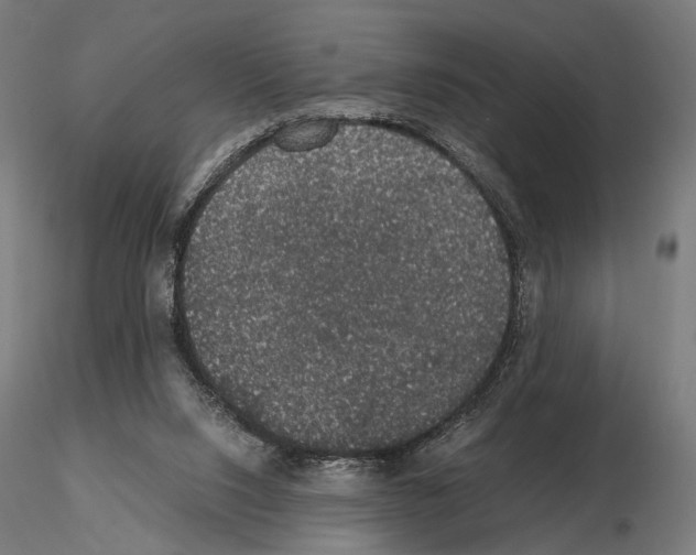 X0000115120064200912081354