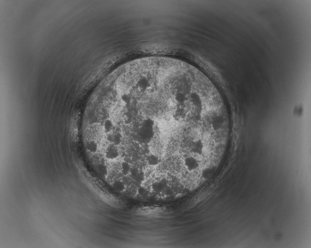 X0000115120065200912081354