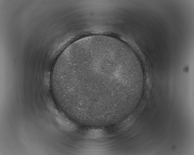 X0000115120066200912081354