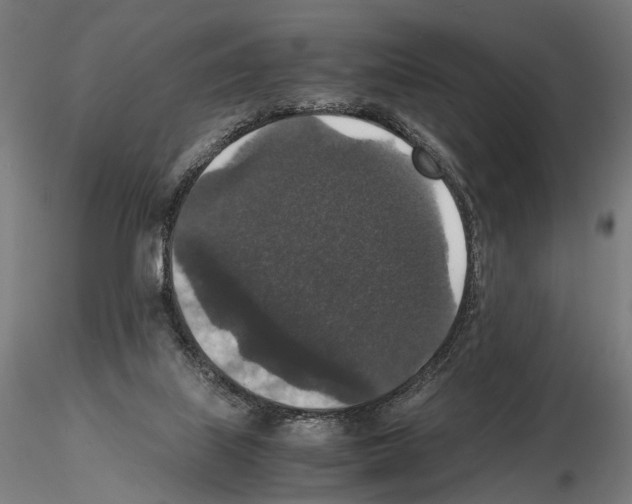 X0000115120067200912081354