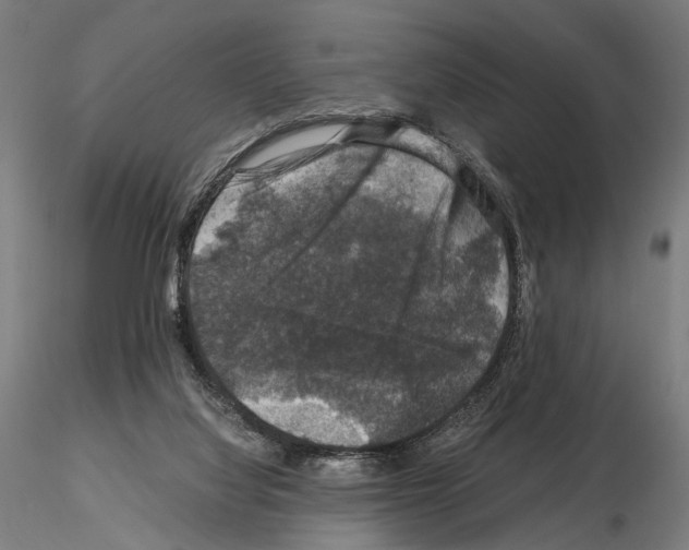 X0000115120068200912081354