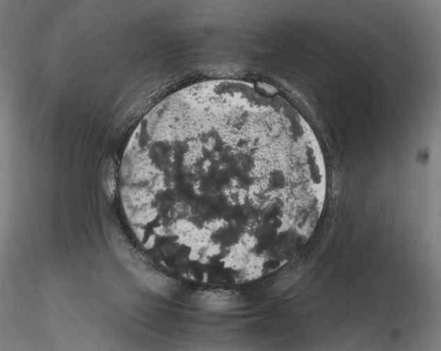 X0000115120069200912081354