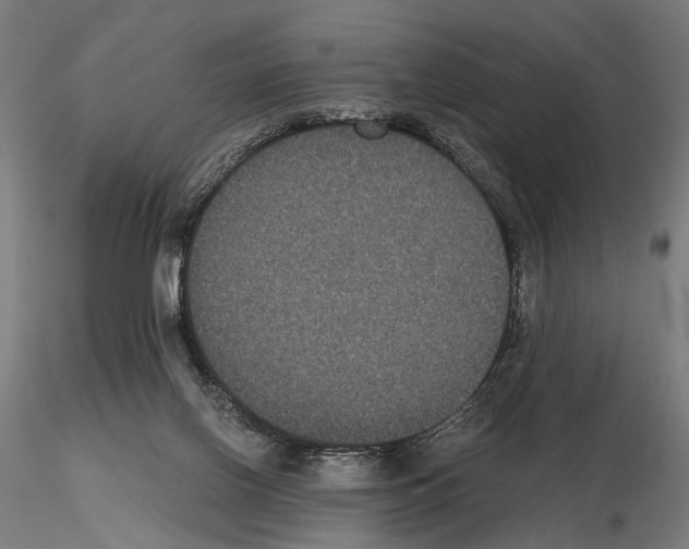 X0000115120070200912081354