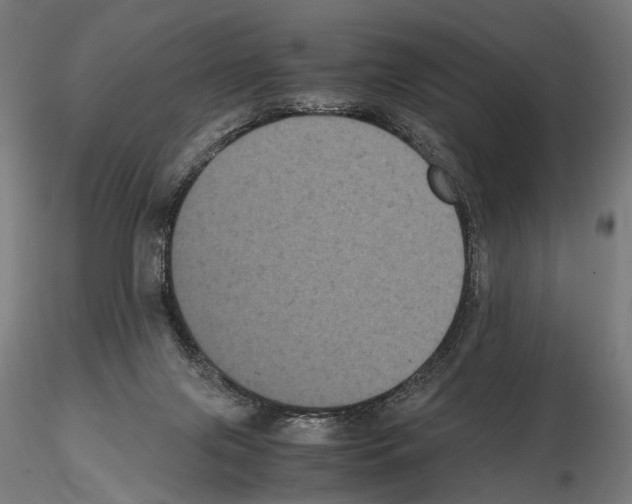 X0000115120071200912081354