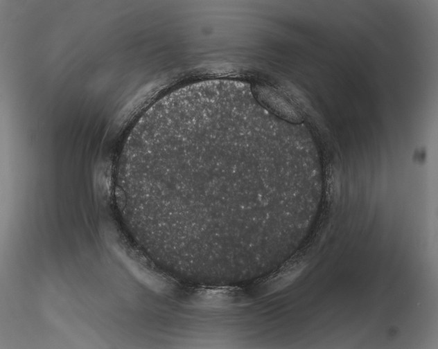 X0000115120072200912081354