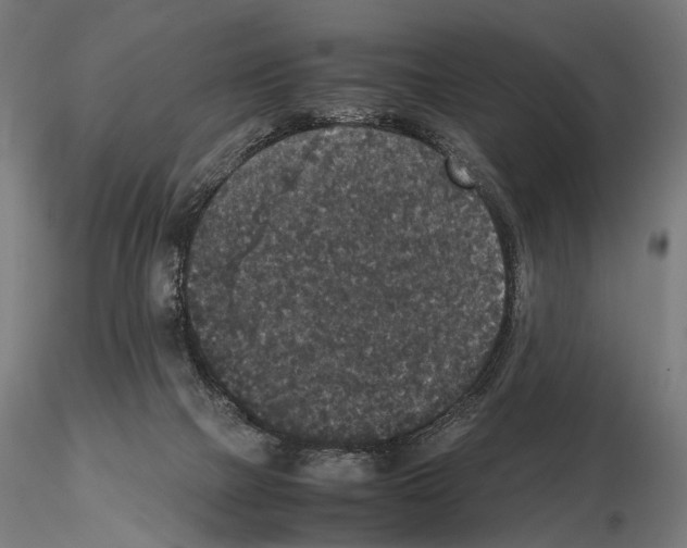 X0000115120073200912081354