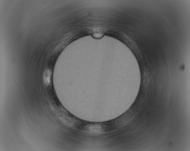 X0000115120075200912081354