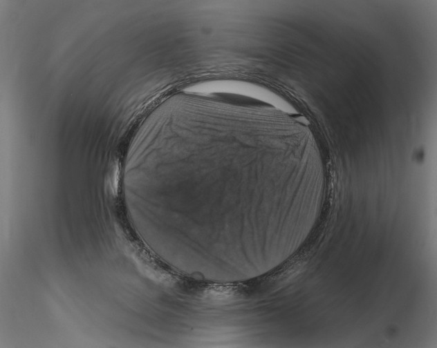 X0000115120076200912081354