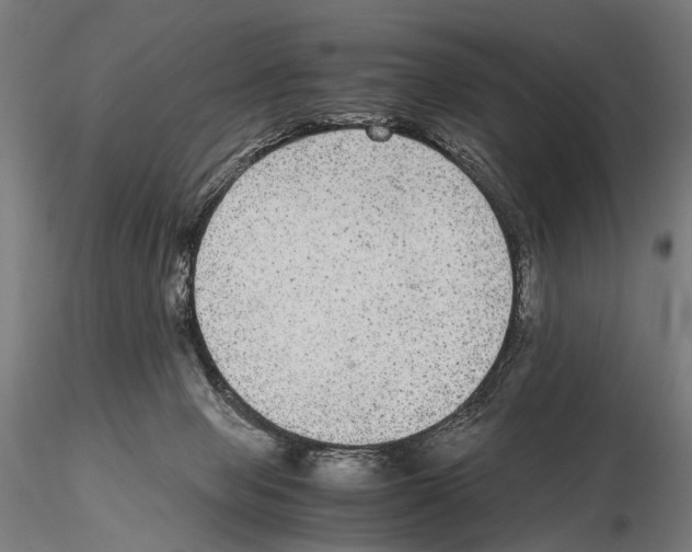 X0000115120077200912081354