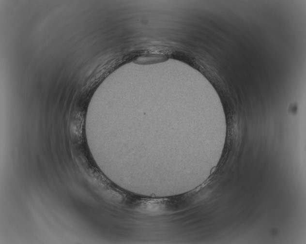 X0000115120078200912081354