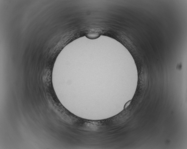 X0000115120079200912081354