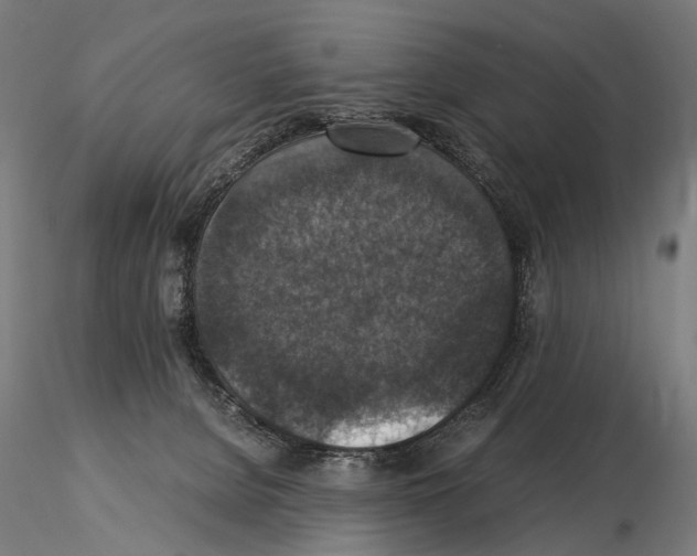 X0000115120080200912081354