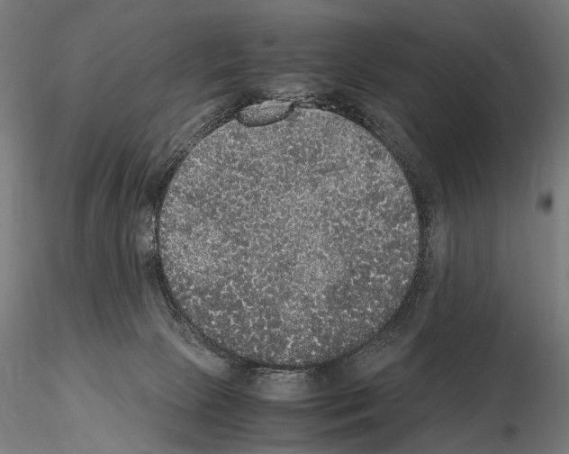 X0000115120081200912081354