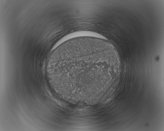 X0000115120082200912081354