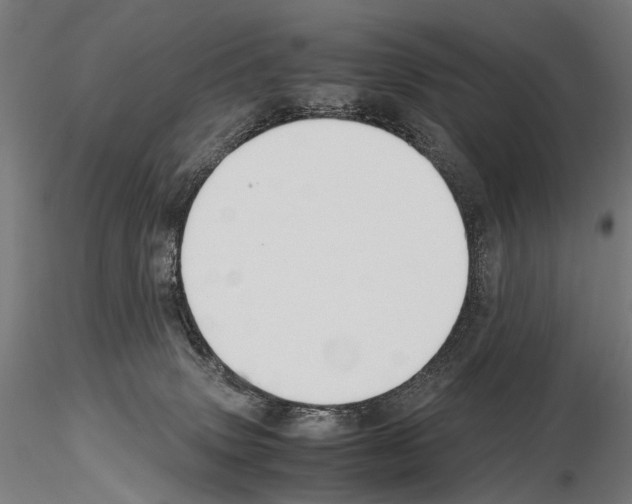 X0000115120083200912081354