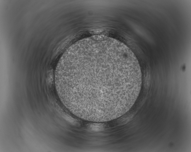 X0000115120085200912081354