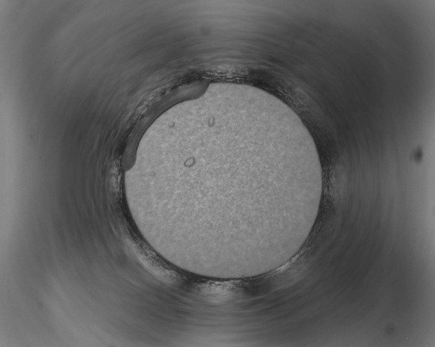 X0000115120086200912081354