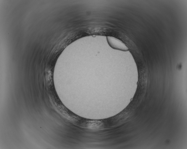 X0000115120087200912081354