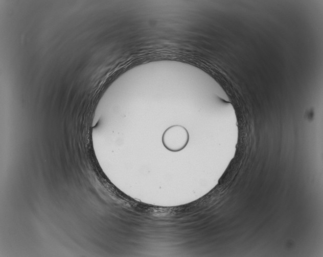 X0000115120088200912081354