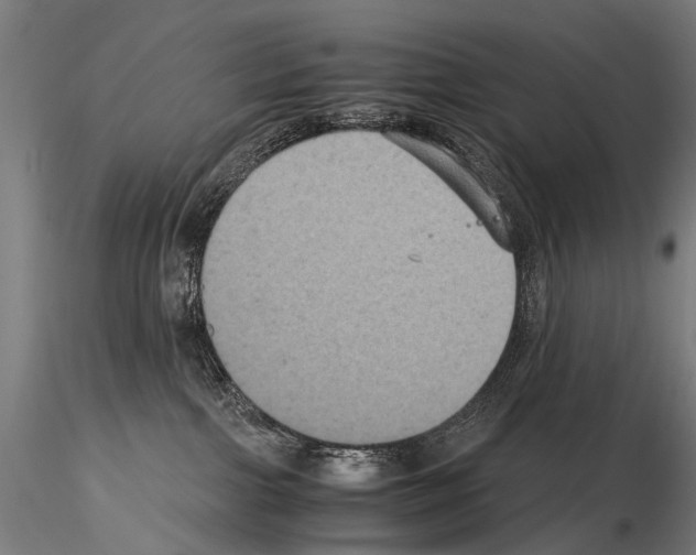 X0000115120091200912081354