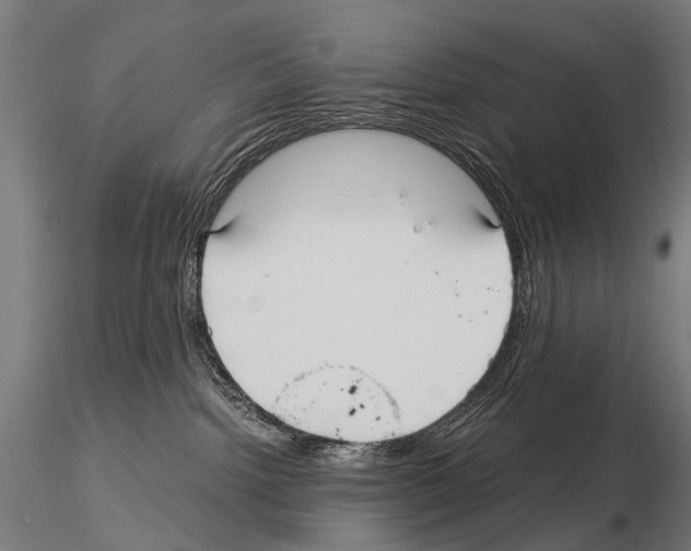 X0000115120092200912081354