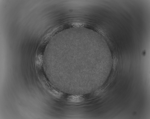 X0000115120093200912081354