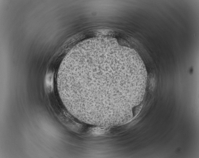 X0000115120094200912081354