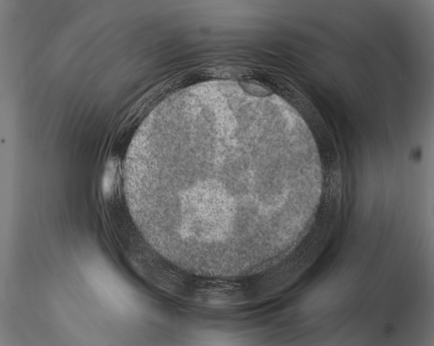 X0000115120095200912081354