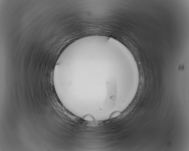 X0000115120096200912081354