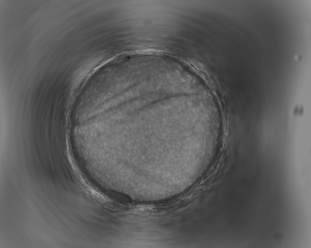 X0000115120097200912081353