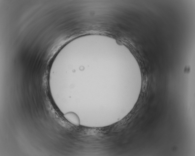 X0000115120098200912081353