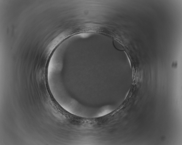 X0000115120099200912081353