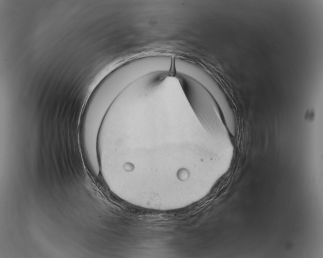 X0000115120100200912081353