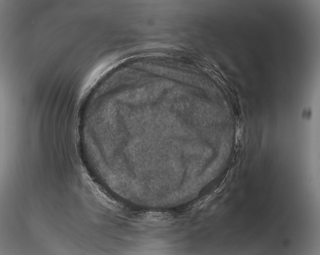 X0000115120101200912081353