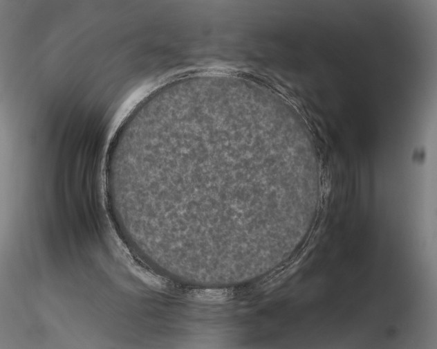 X0000115120102200912081353