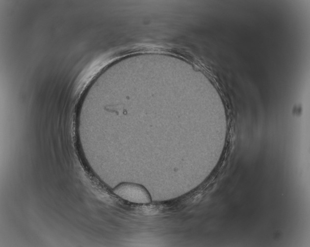 X0000115120103200912081353