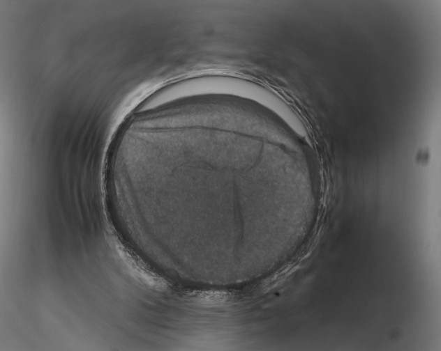 X0000115120104200912081353