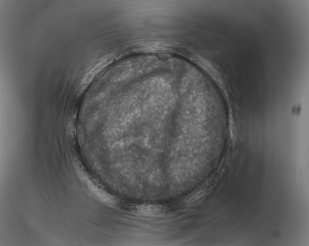 X0000115120105200912081353